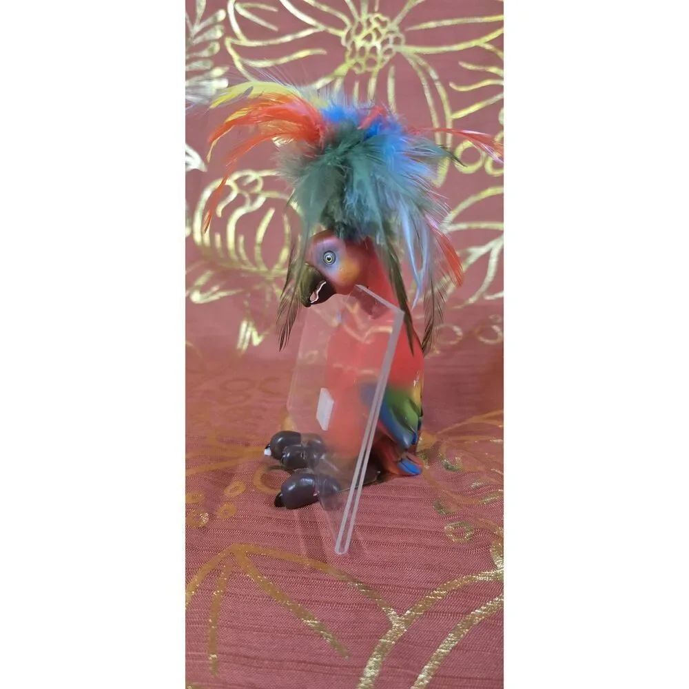 Rare Tropical Parrot 4x6 Picture Holder